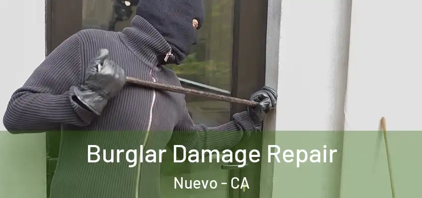 Burglar Damage Repair Nuevo - CA