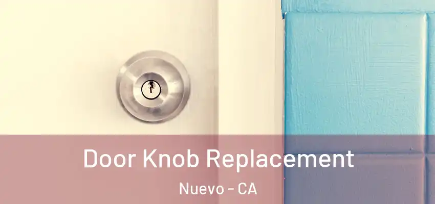 Door Knob Replacement Nuevo - CA
